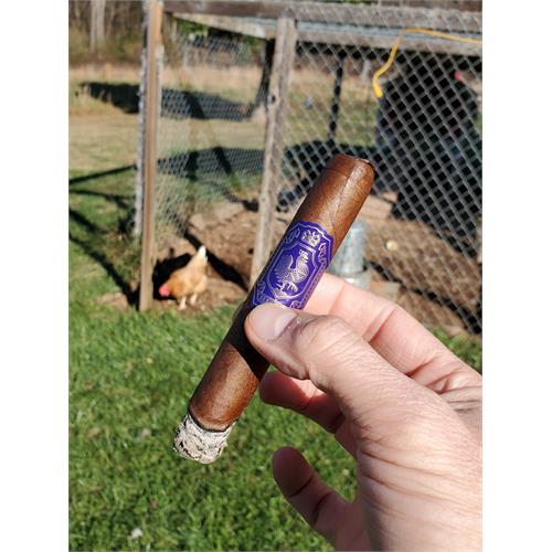 Desvalido Robusto 5  * 50