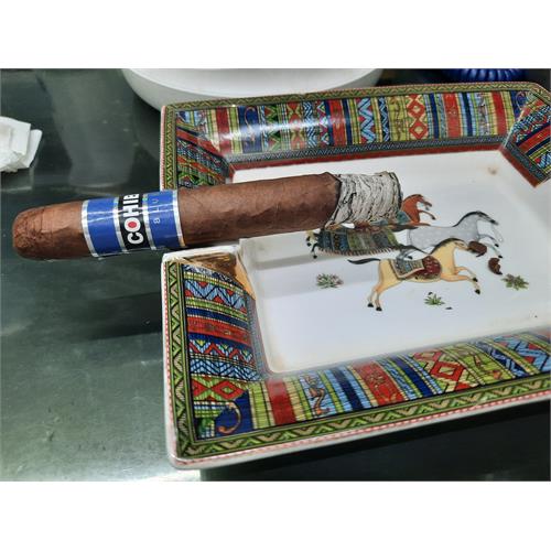 Cohiba Blue Robusto Fresh Pack of 1