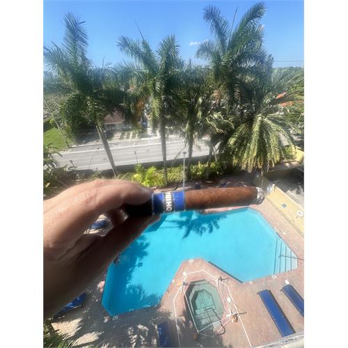 Cohiba Blue Robusto Fresh Pack of 1