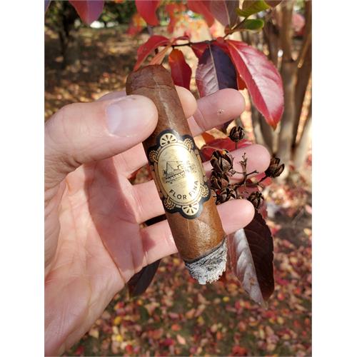Warped Chinchalle Robusto 5  * 50