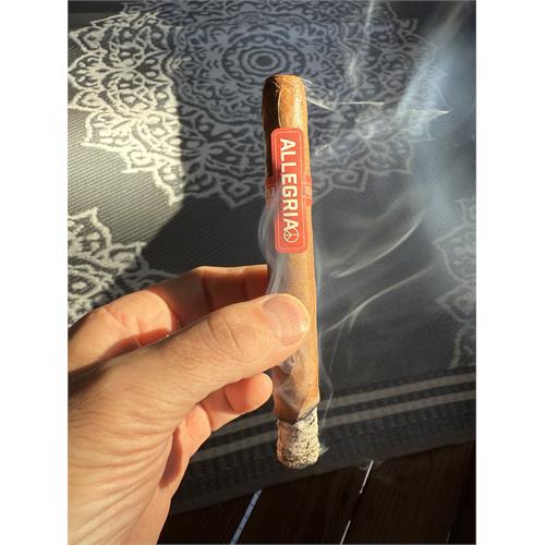 Illusione Allegria Lonsdale 6 1/4 * 44