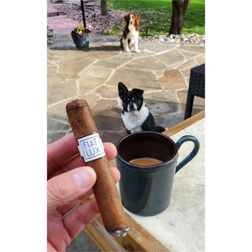 Fiat Lux by Luciano Intuition 5  * 50