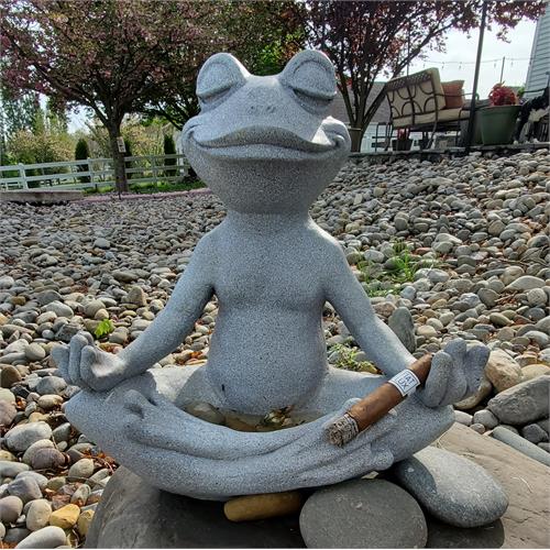 Fiat Lux by Luciano Intuition 5  * 50