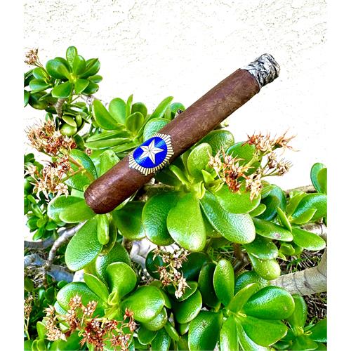 StillWell Star Aromatic No. 1 6  * 52