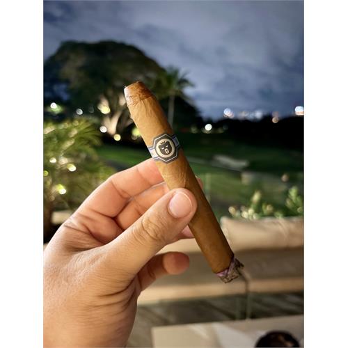 Warped Limited Edition El Oso Blanco 6  * 48