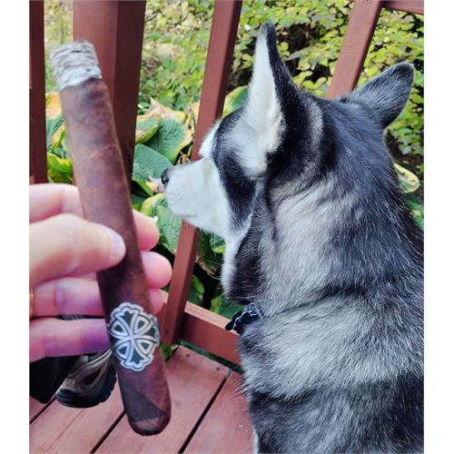 Sin Compromiso Paladin de Saka 7  * 52