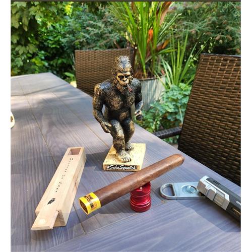 Muestra de Saka The Bewitched 6 5/8 * 48