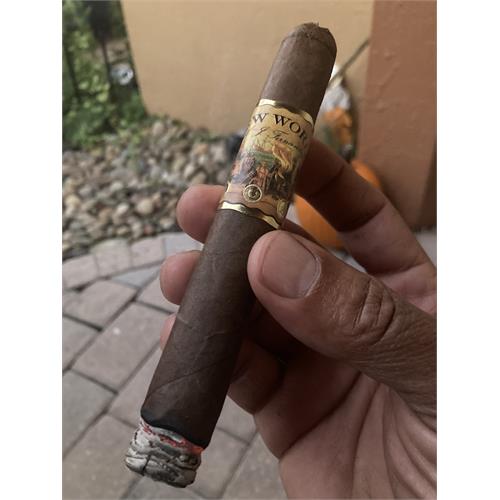 New World Dorado Toro 6  * 54