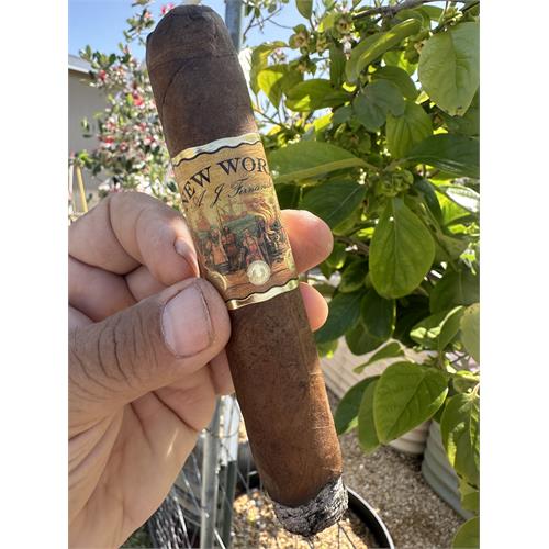 New World Dorado Gordito 5 1/2 * 60