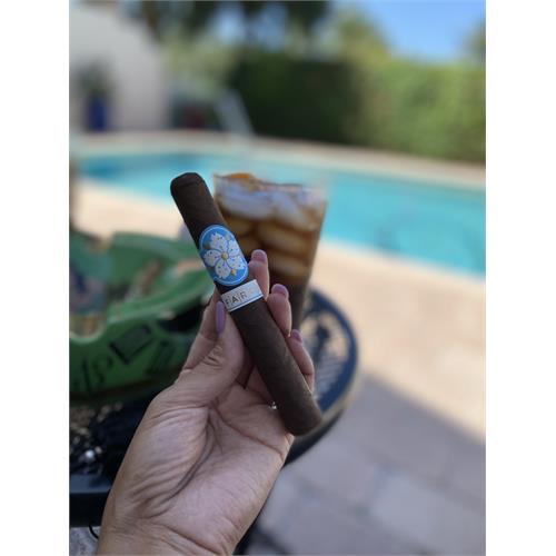 Room 101 The Farce Nicaragua Robusto 5 1/2 * 50