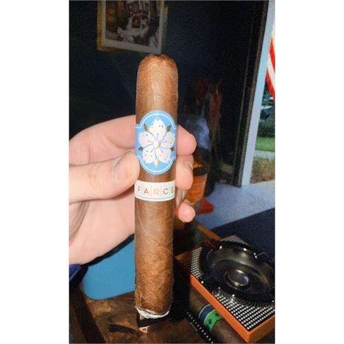 Room 101 The Farce Nicaragua Gordo 6  * 60
