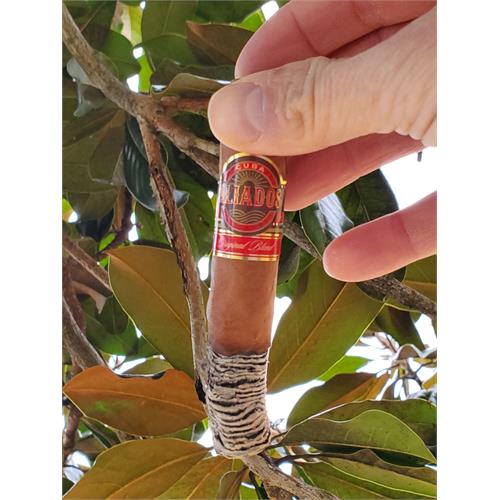 Cuba Aliados Natural Robusto 5  * 50