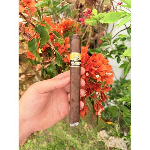 Foundation Olmec Maduro DB Corona 7  * 54