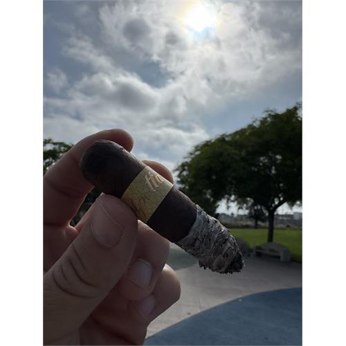 Dunbarton Polpetta Petit Puros 4  * 48