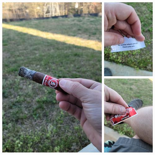 Punch Spring Roll Robusto 4 1/2 * 50