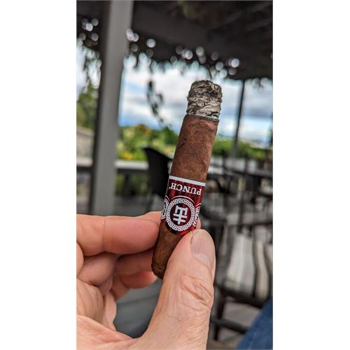 Punch Spring Roll Robusto 4 1/2 * 50