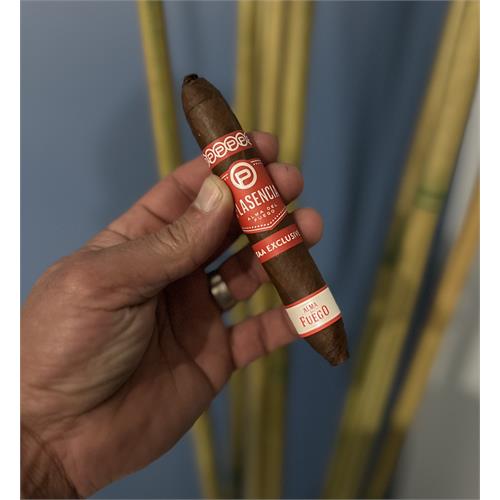 Plasencia TAA Alma del Fuego Cortez 5 3/4 * 56