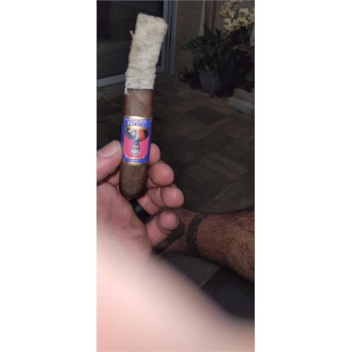 Foundation Aksum Maduro Robusto 5  * 50