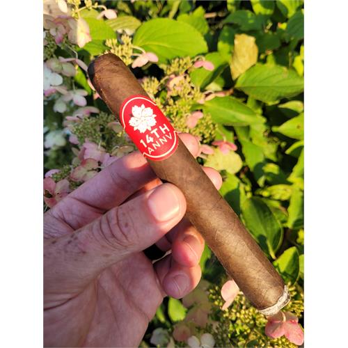 Room 101 14th Anniversary Toro 6  * 52