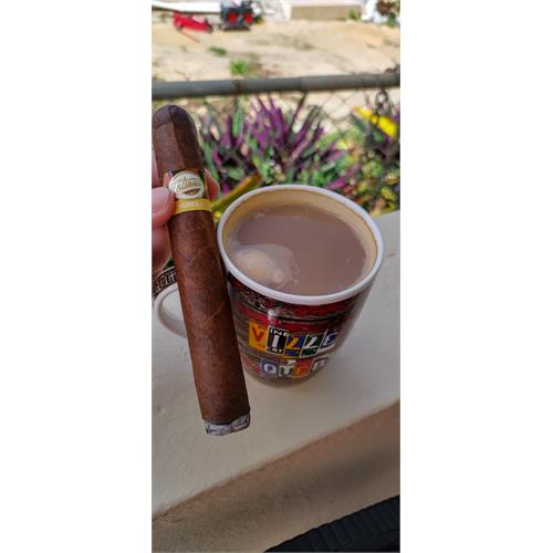 Tatiana Vanilla Toro 6  * 54