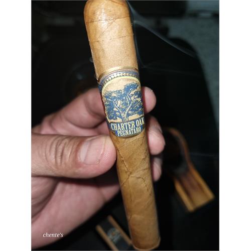 Foundation Charter Oak Pegnataro 5 1/2 * 48