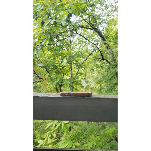 Foundation Charter Oak Pegnataro 5 1/2 * 48