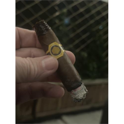 Warped La Colmena Black Honey 5  * 48