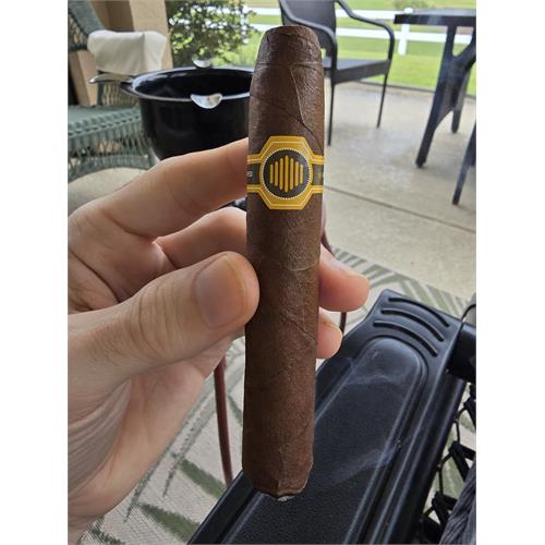 Warped La Colmena Black Honey 5  * 48