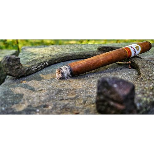 Sacrificio Elegante Lancero 7  * 38