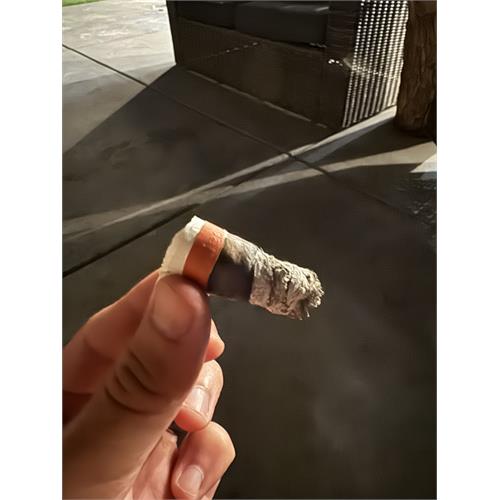 RoMa Craft Neanderthal HoxD 4  * 46