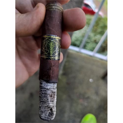 BLK WKS The Hornet Robusto 5  * 48