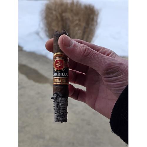 EP Carrillo Essence Sumatra Robusto 5  * 50