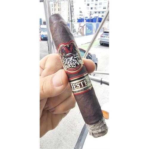 Viva La Vida 5th Anniversary Jester Belicoso 5 1/2 * 56