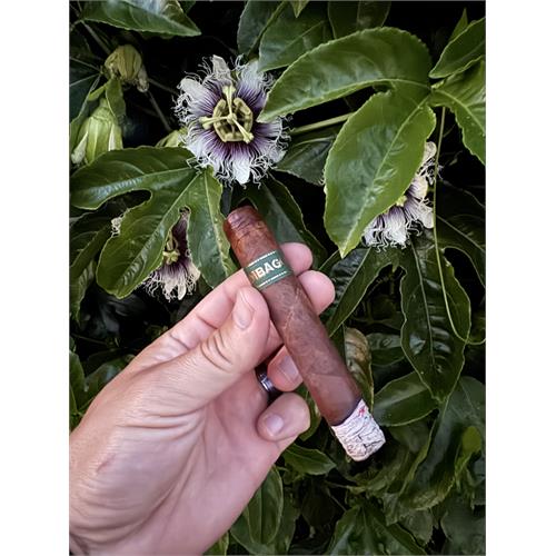 Umbagog Bronzeback 5  * 48