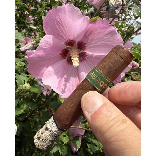 Umbagog Bronzeback 5  * 48