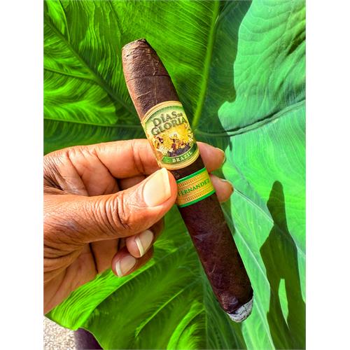 AJ Fernandez Dias de Gloria Brazil Robusto 5 1/2 * 54