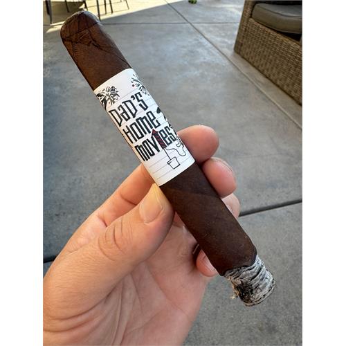 Punch Dad s Home Movies Toro 6  * 50