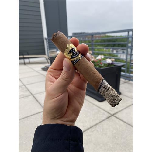 Warped Isla del Cocodrilo Toro 6  * 52