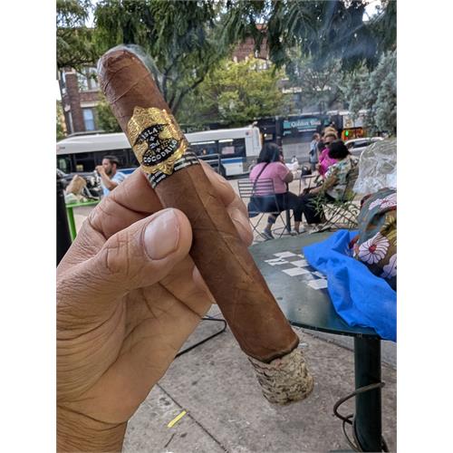 Warped Isla del Cocodrilo Toro 6  * 52