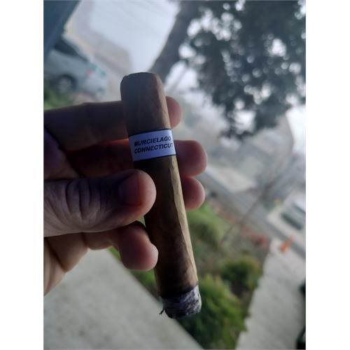 Murcielago Shikaka TAA Exclusive 2024 Toro Oval 6  * 54