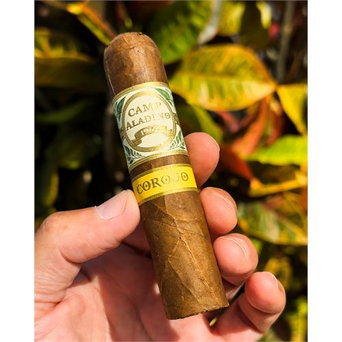 Camp Aladino Corojo Gorbusto 4 1/2 * 60