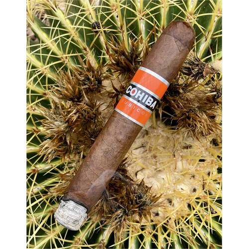 Cohiba Rubicon Toro 6  * 54