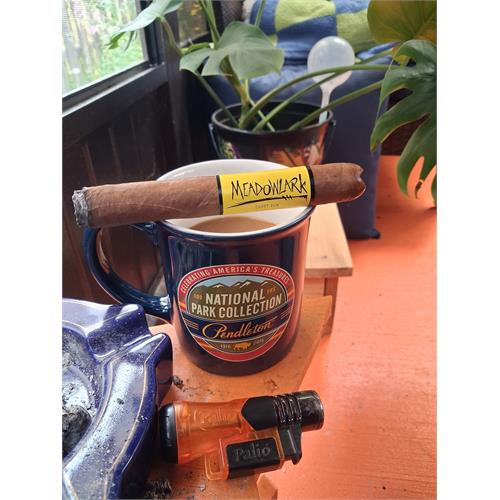 Blackbird Meadowlark Toro 6  * 52
