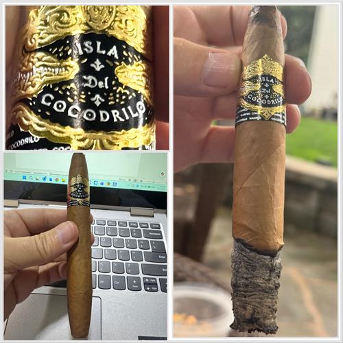 Warped Isla Del Cocodrilo Blanco Perfecto 6 1/2 * 55