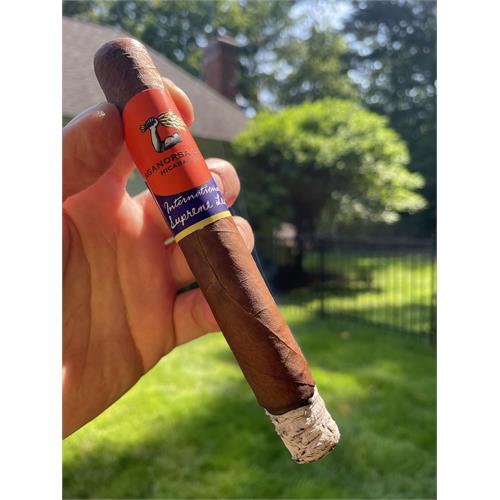 Aganorsa Leaf Supreme Leaf Euro Toro 6  * 50