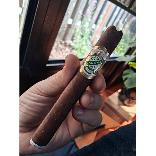 Laranja Hybrid Toro 6  * 52