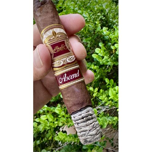 Casa Carrillo Ascend Saddle 5  * 50