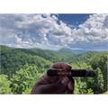 Arturo Fuente Natural 8-5-8 6  * 47