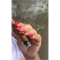 Arturo Fuente Natural Brevas Royale 5 1/2 * 42