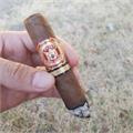 Arturo Fuente Natural Chateau Fuente 4 1/2 * 50